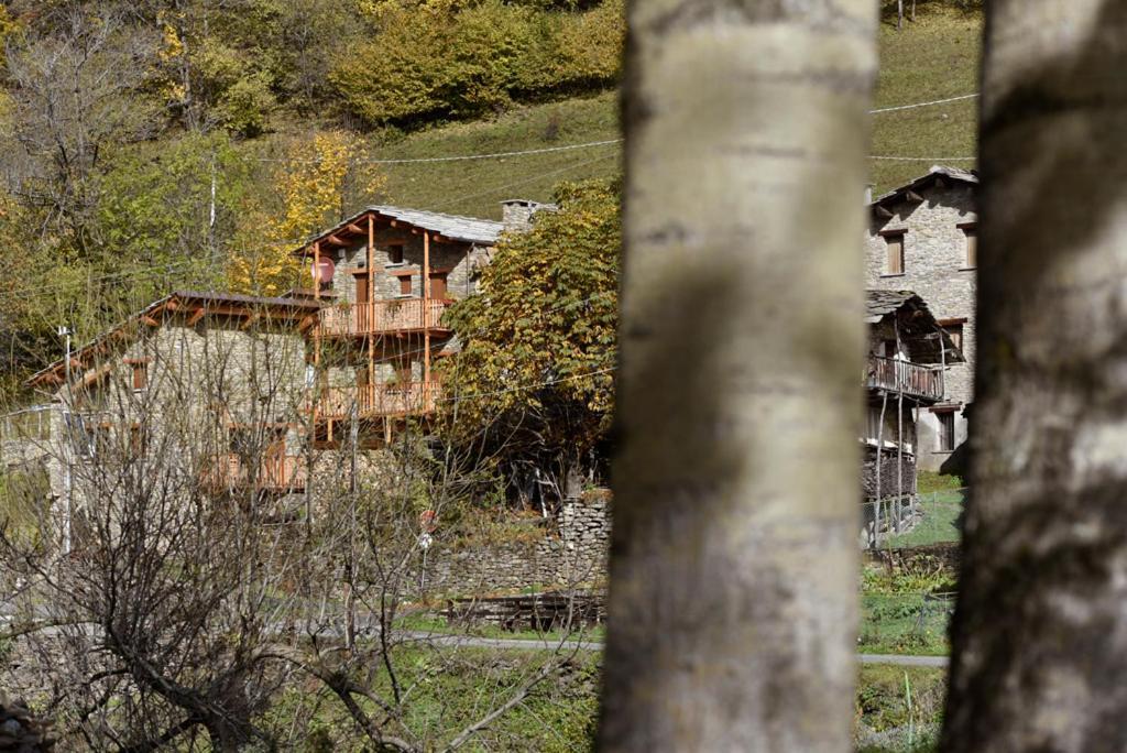 Altestanzeostana Apartment Ostana